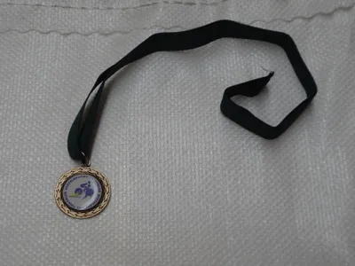 Buffelsport Triathlon medal