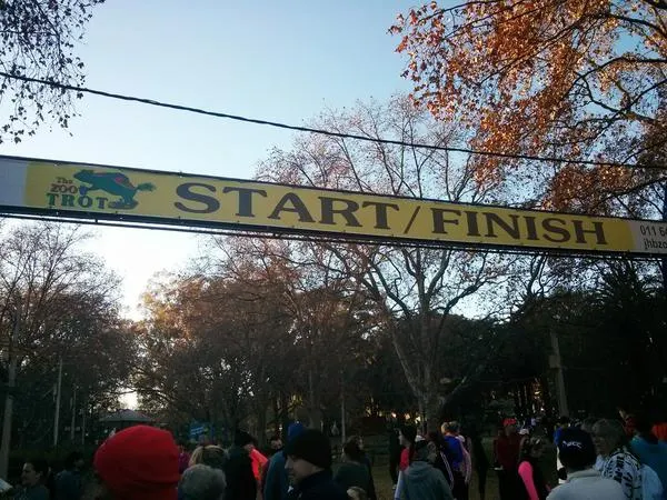 zoo trot start