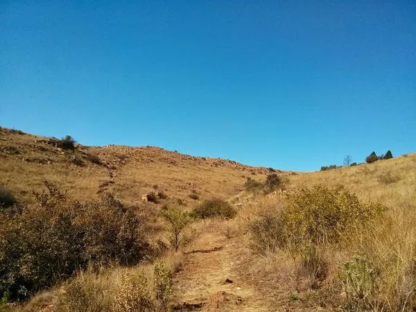 Kloofendal Nature Reserve