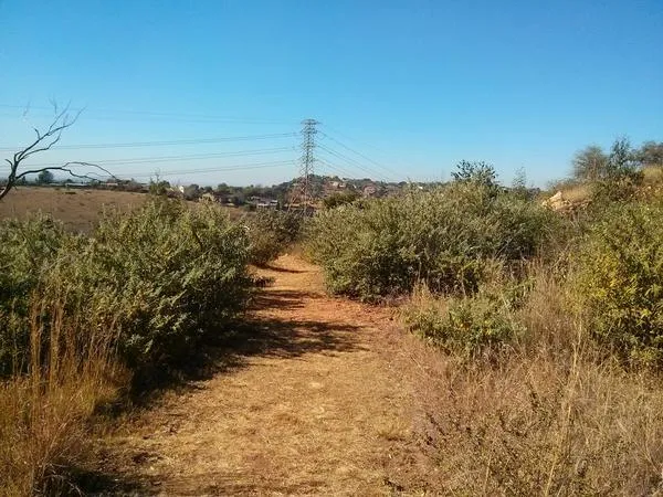 Kloofendal Nature Reserve